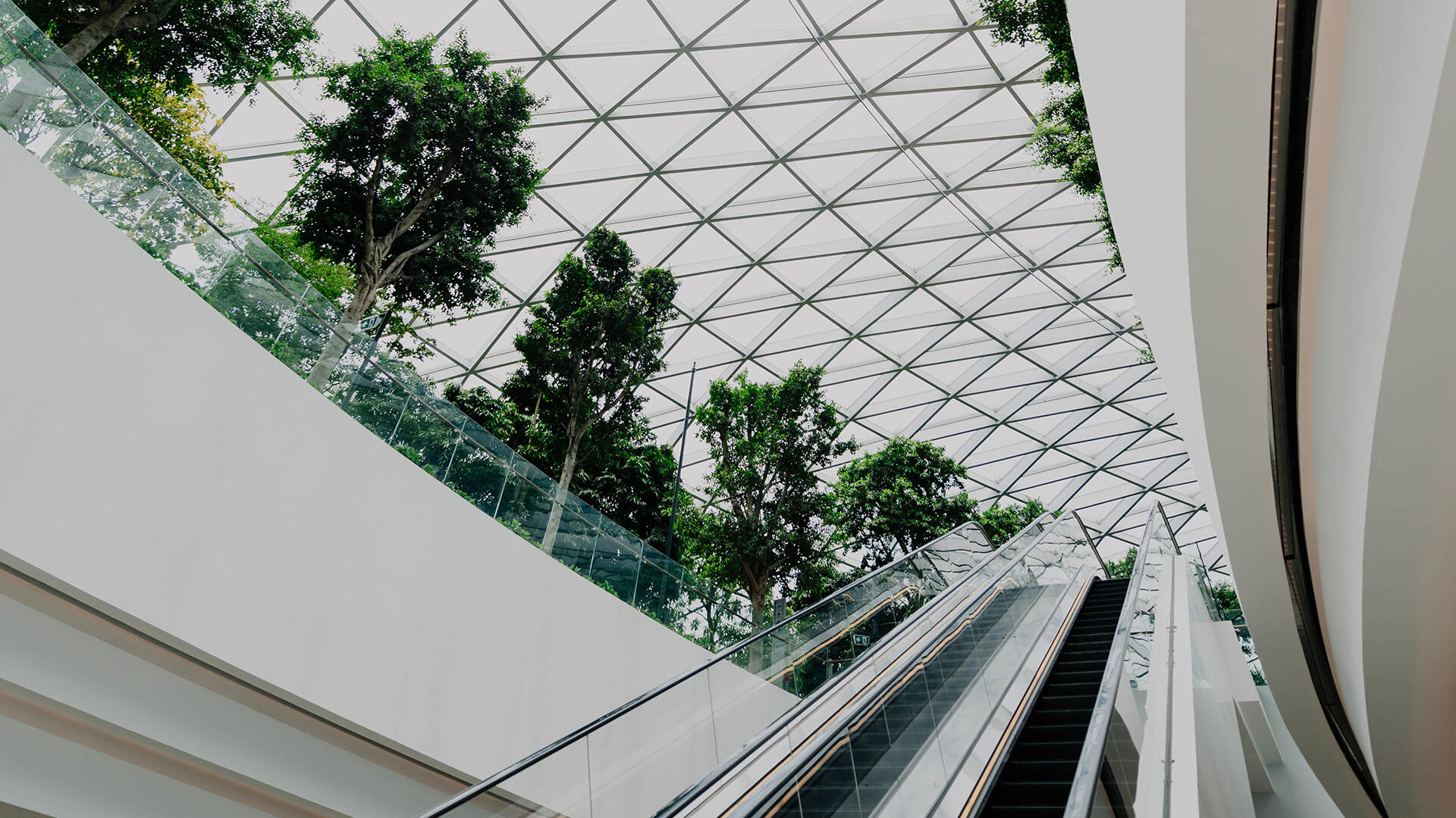 Sticla pentru spații comerciale și hoteluri